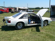 MUSTANG